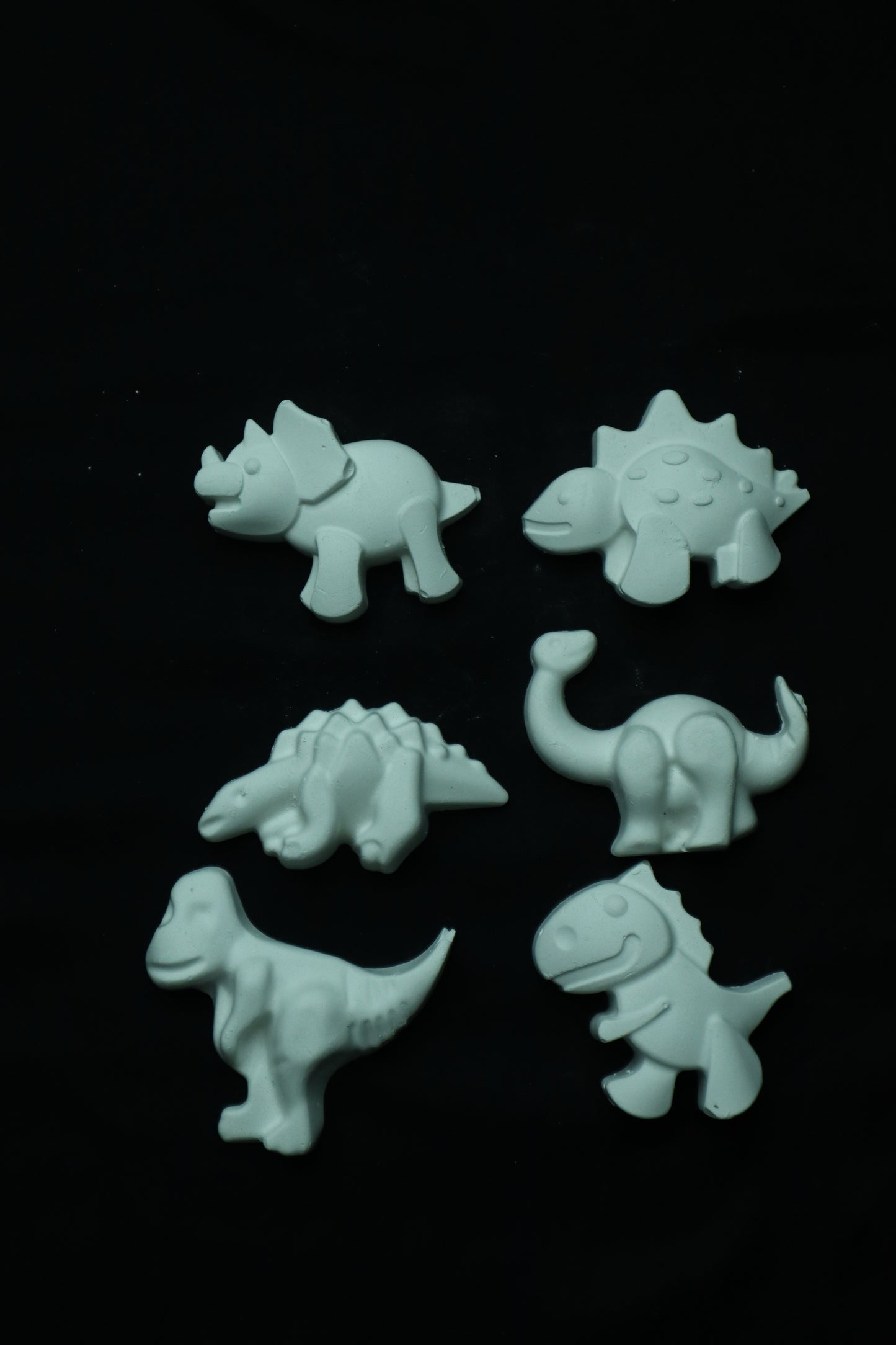 Dino Explorer Craft Kit